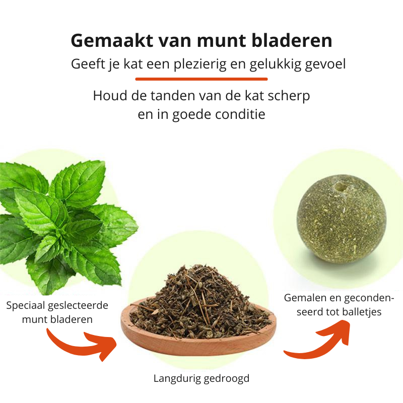 pets : Purrfect Kattenkruid Toy - Houd Je Katachtige Vriend Actief & Gelukkig - Blauw in van Pantino