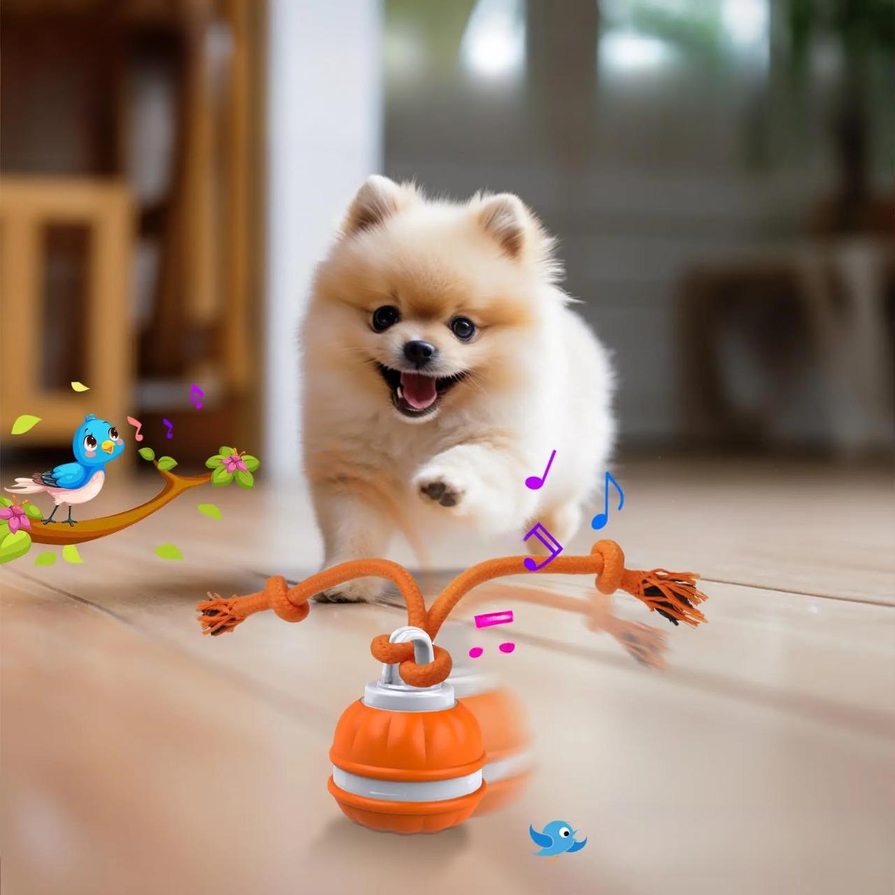 pets : PupPlay - Sterk en Langdurig Speelplezier in van Pantino