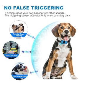 pets : GentleDog Anti-Blaffende Hondenhalsband Blauw - Verstelbaar & Comfortabel voor Kleine tot Grote Honden in van Pantino