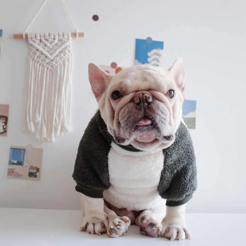pets : Fleece-Gevoerde Omkeerbare Jas voor Honden - Donkergrijs in van Pantino