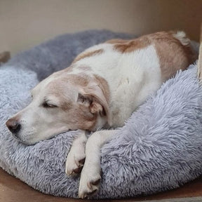 pets : Hondenmand Fluffy Calming Bed Koffie - Zacht Anti-Angst voor Kleine & Middelgrote Honden in van Pantino