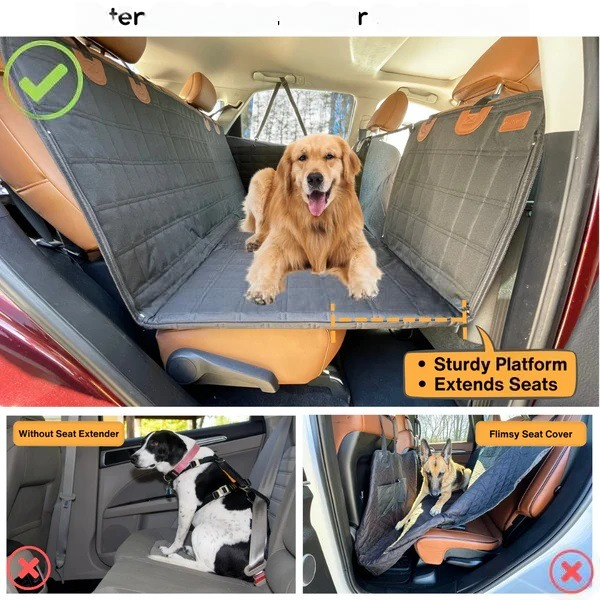 pets : Travel Buddy - Veiligheid en Gezelschap voor Iedere Reis in van Pantino
