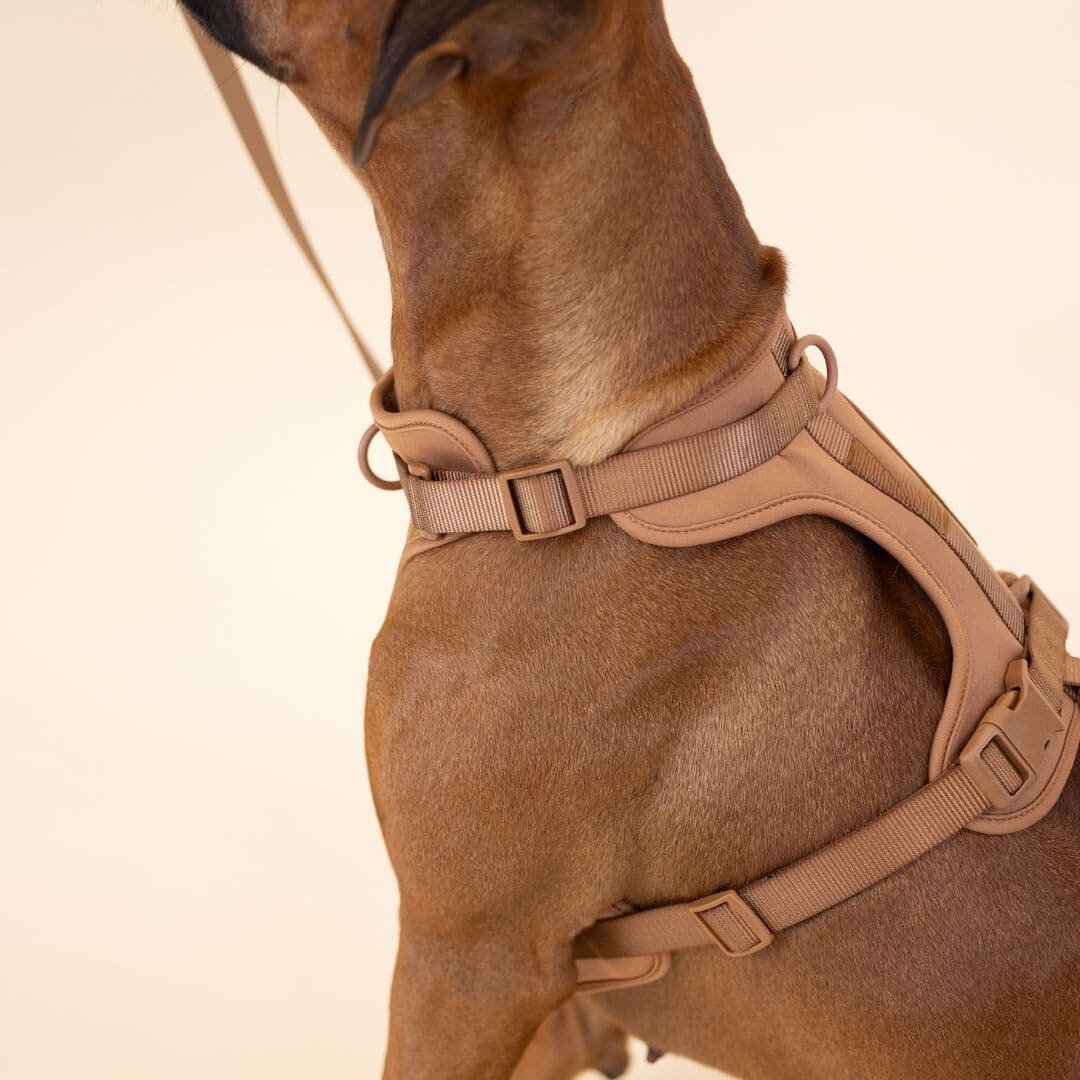 pets : ComfyPaws - Harnas Wandel Set (Inclusief Riem en Poepzakjes Drager) - Bruin in van Pantino