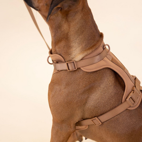 pets : ComfyPaws - Harnas Wandel Set (Inclusief Riem en Poepzakjes Drager) - Bruin in van Pantino