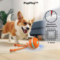 PupPlay - Sterk en Langdurig Speelplezier