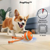 PupPlay - Strong and Long-lasting Play Fun