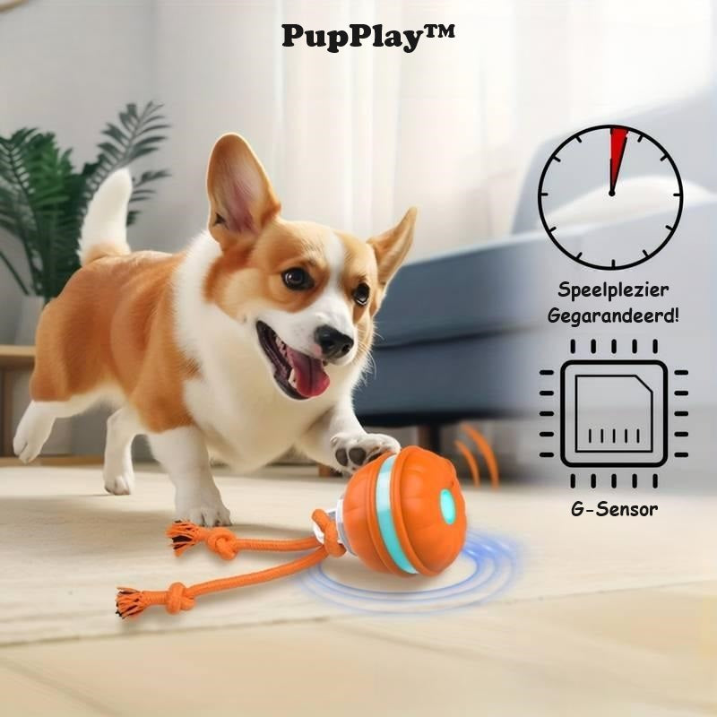 pets : PupPlay - Sterk en Langdurig Speelplezier in van Pantino