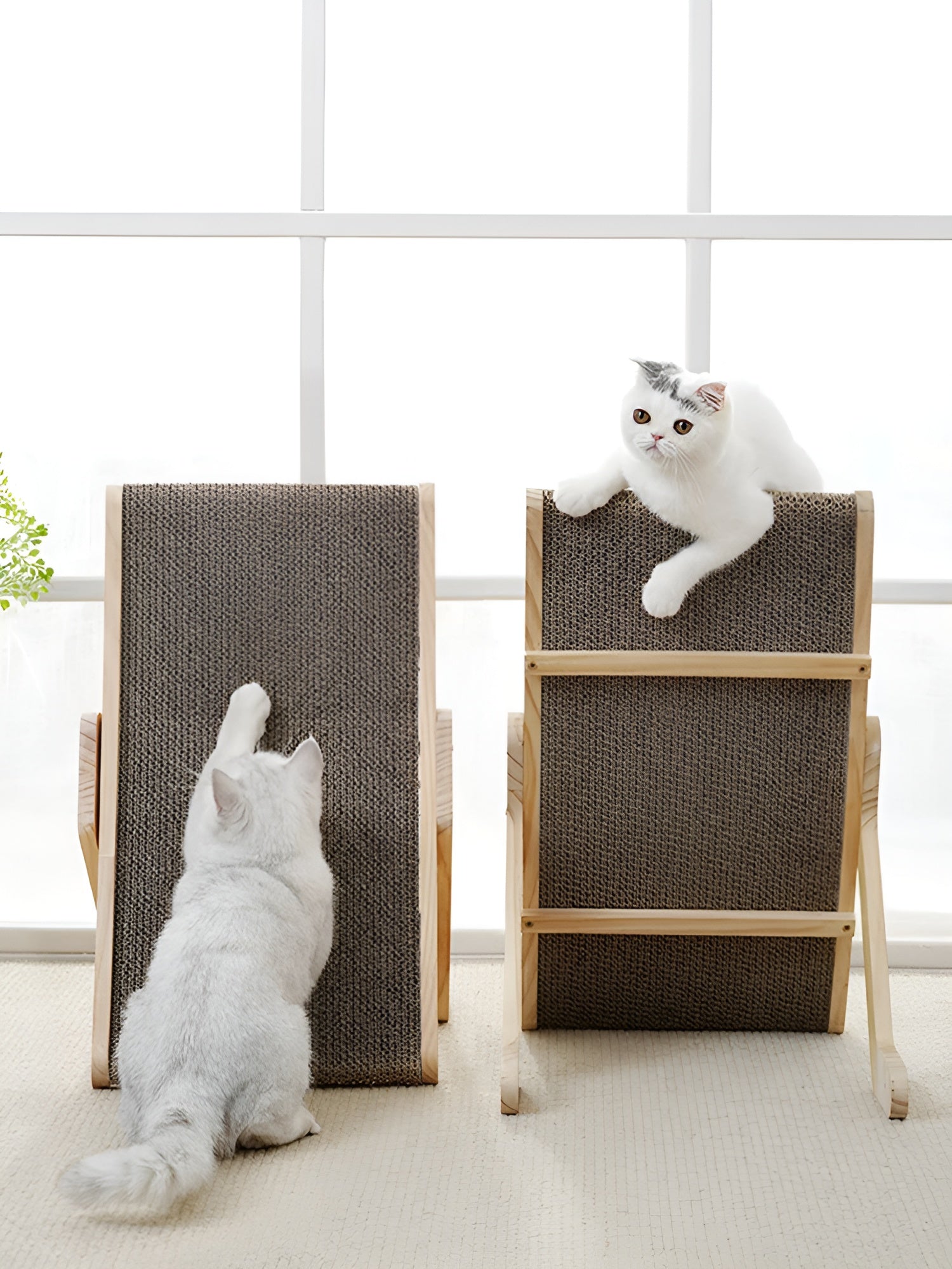 pets : Houten Kattenkrabplank - Multifunctionele Verwijderbare Design - Hout in van Pantino