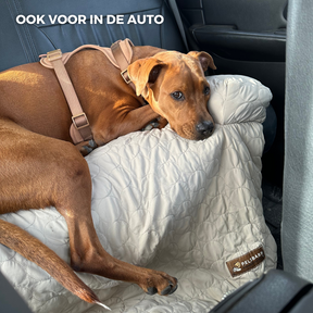 Huisdieren : Verkoelend Honden Bed - Lichtblauw in van Pantino