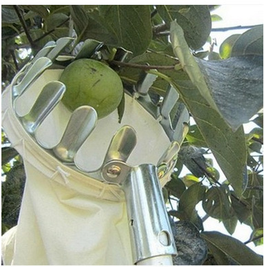 outdoor equipment : SkyHarvest Deluxe Fruitplukker in van Pantino