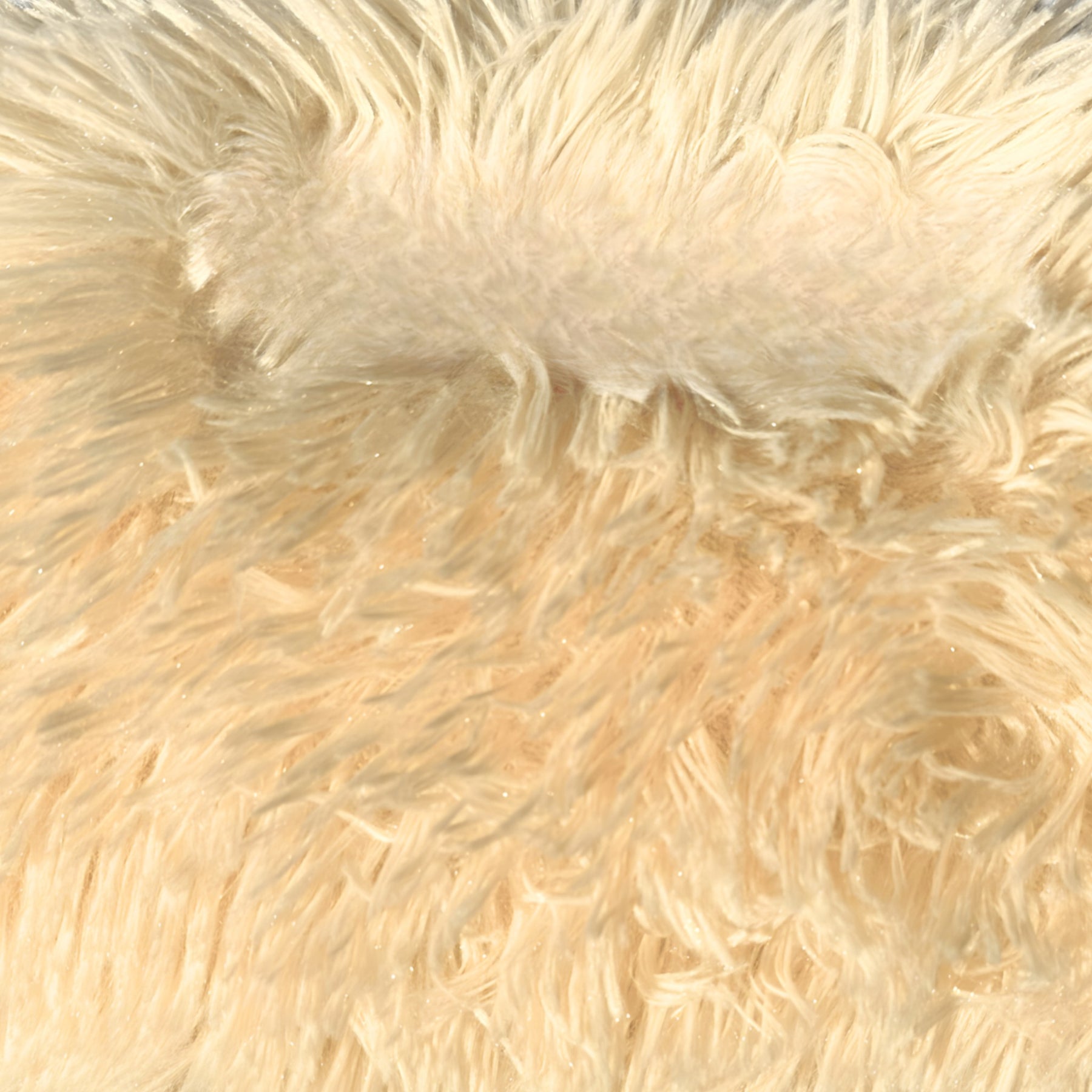 pets : Honden Automand Waterdicht Antislip - Beige in van Pantino