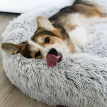 pets : Hondenmand Fluffy Calming Bed Koffie - Zacht Anti-Angst voor Kleine & Middelgrote Honden in Lichtgrijs van Pantino