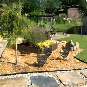 home & garden : The Chicken Family - De Leukste Tuin van de Straat in van Pantino