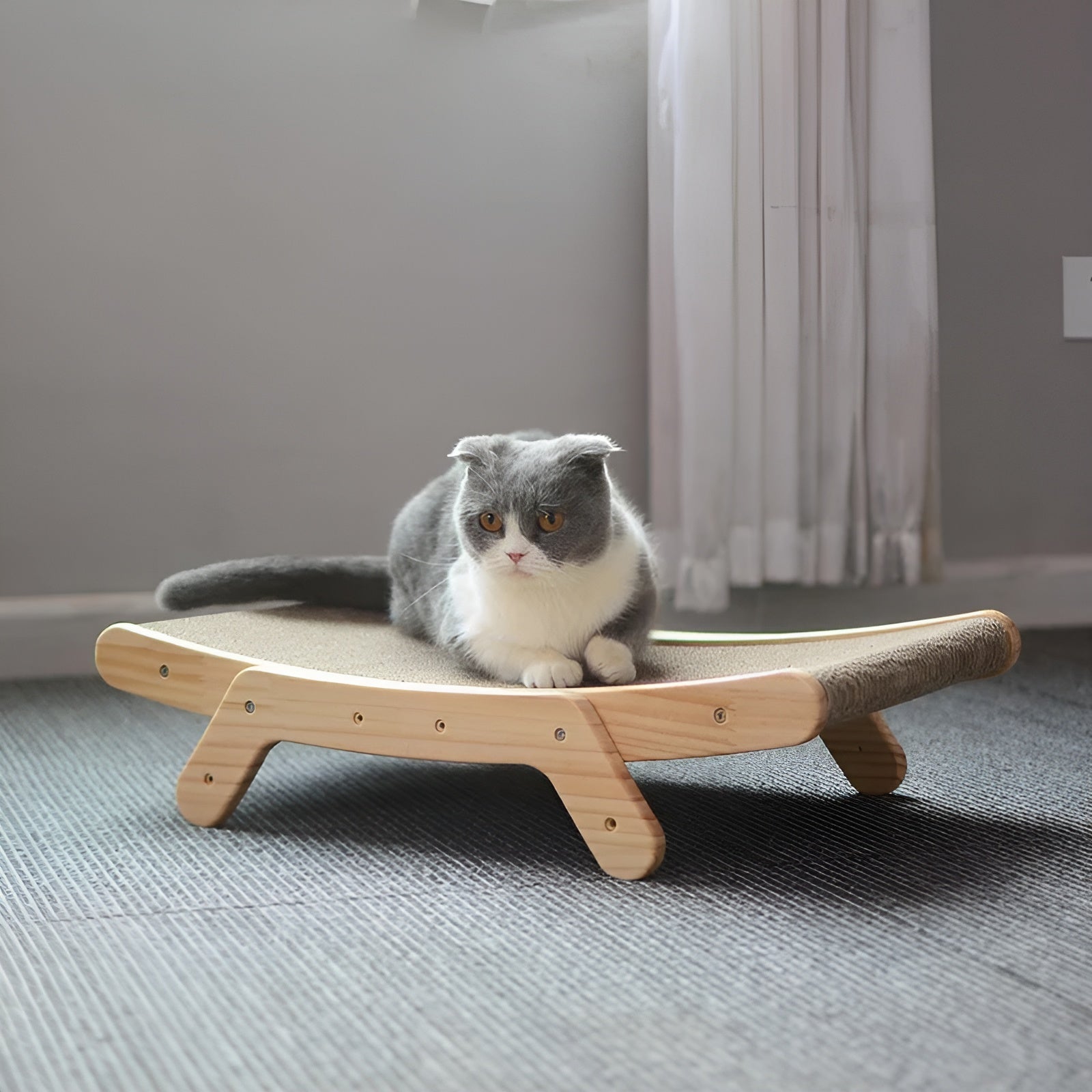 pets : Houten Kattenkrabplank - Multifunctionele Verwijderbare Design - Hout in van Pantino