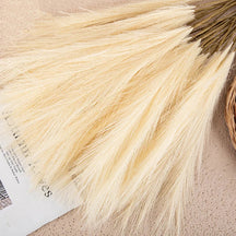 home & garden : Pluizige Pampas Kunstbloemen Beige - Sfeervolle Woonkamer Decoratie - Synthetisch in Beige van Pantino
