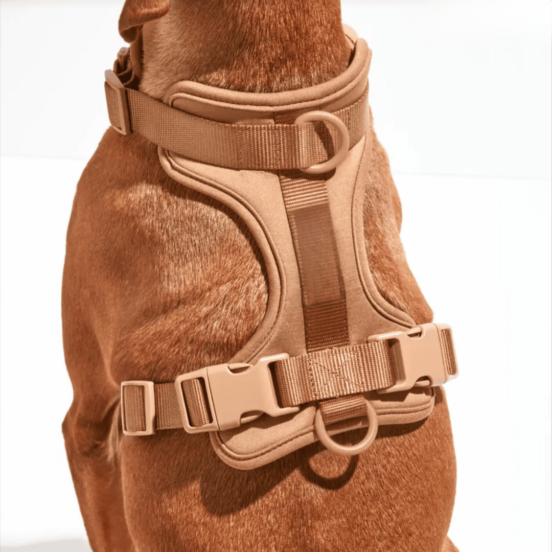 pets : ComfyPaws - Harnas Wandel Set (Inclusief Riem en Poepzakjes Drager) - Bruin in van Pantino