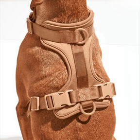 pets : ComfyPaws - Harnas Wandel Set (Inclusief Riem en Poepzakjes Drager) - Bruin in van Pantino