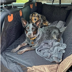 pets : Travel Buddy - Veiligheid en Gezelschap voor Iedere Reis in van Pantino