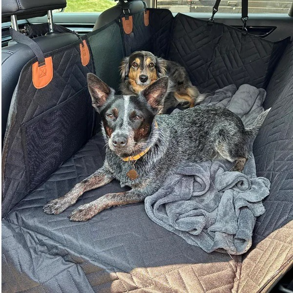 pets : Travel Buddy - Veiligheid en Gezelschap voor Iedere Reis in van Pantino