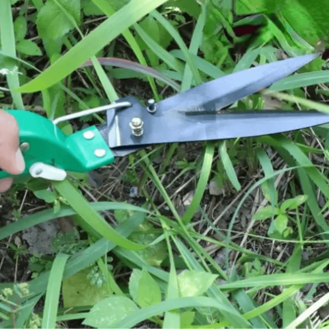 home & garden : Uitgebreide Roestvrijstalen Tuiniers Set (10 Delig) in van Pantino
