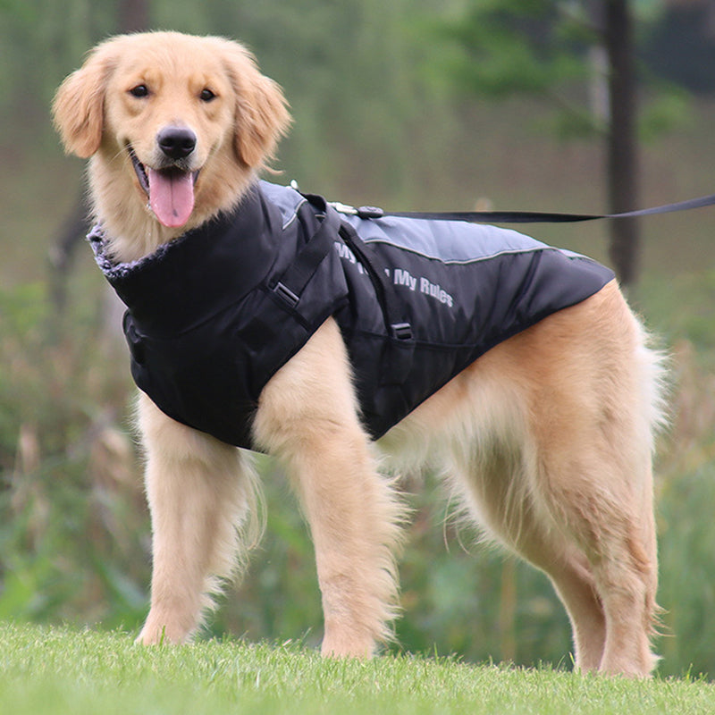 pets : Reflecterende Hondenjas met Ingebouwd Harnas voor Buitenavonturen - Grijs in van Pantino