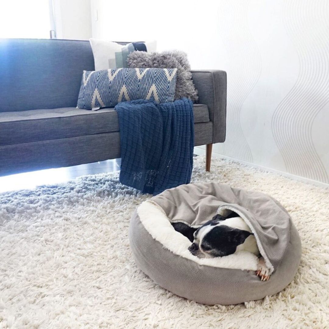 pets : Honden Knuffelgrot Grijs - Knus Warm Beschutting - Pluche in van Pantino