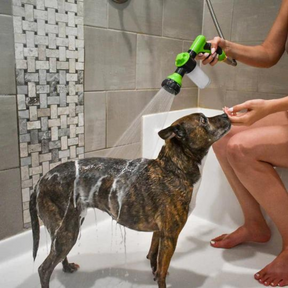 pets : PupBath Badder Je Hond Moeiteloos in Recordtijd - Groen in Groen van Pantino