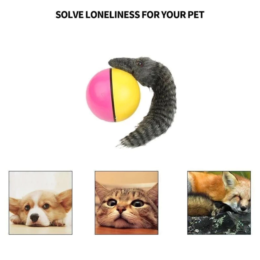pets : PlayBall - Elektronisch Interactief Speelgoed voor Dieren in van Pantino