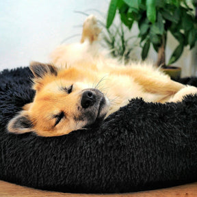 pets : Hondenbed Grijs - Ultiem Comfortabel Zacht Ligplaats - Pluche in van Pantino