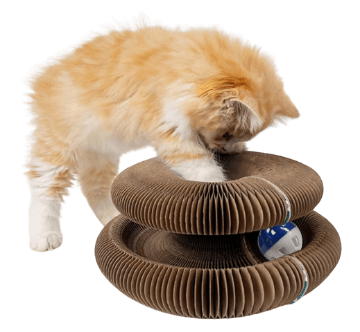 pets : Bescherm Meubels Kattenspeelgoed - Karton in van Pantino