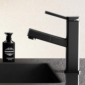 home & garden : Uittrekbare Ééngreeps Badkraan in van Pantino