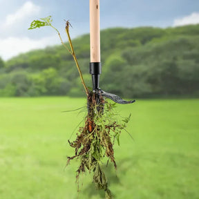 home & garden : Onkruidverwijderaars Opzetstuk in van Pantino