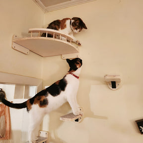 pets : Kattenklimplank Wandmontage - Krabpaal Instinct Training - Hout in van Pantino