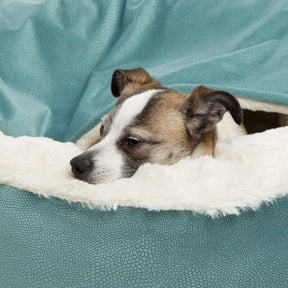 pets : Honden Knuffelgrot Grijs - Knus Warm Beschutting - Pluche in van Pantino