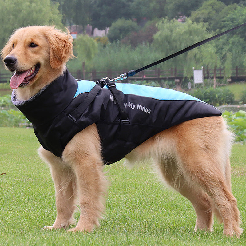 pets : Reflecterende Hondenjas met Ingebouwd Harnas voor Buitenavonturen - Grijs in van Pantino