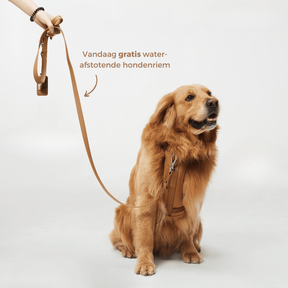 pets : ComfyPaws - Harnas Wandel Set (Inclusief Riem en Poepzakjes Drager) - Bruin in van Pantino