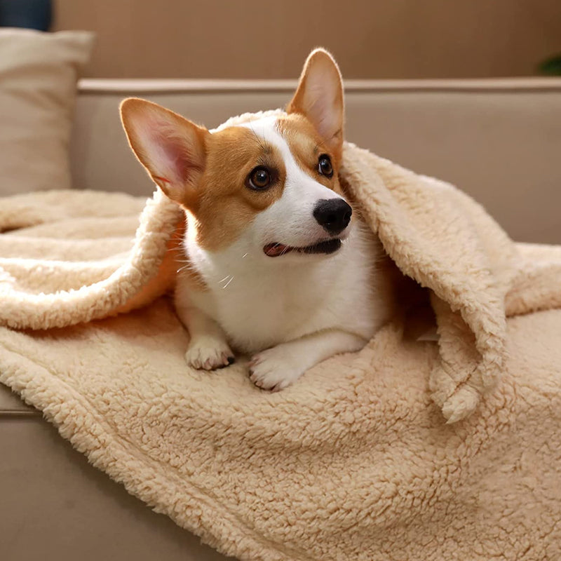 pets : Cozy Fleece Blanket Honden Katten - Grijs in van Pantino