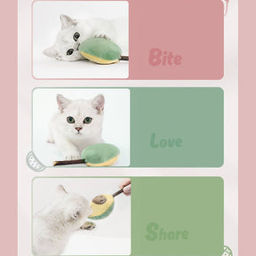 pets : Kattenspeelgoed Set Fruitvormen - Interactief Speelgoed - 6-Delig in van Pantino