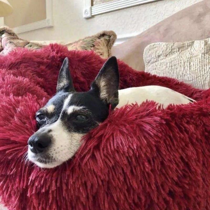 pets : FluffyBed Donutbed Pluche – Rond Hondenkussen – Wasbaar in Wijn rood van Pantino