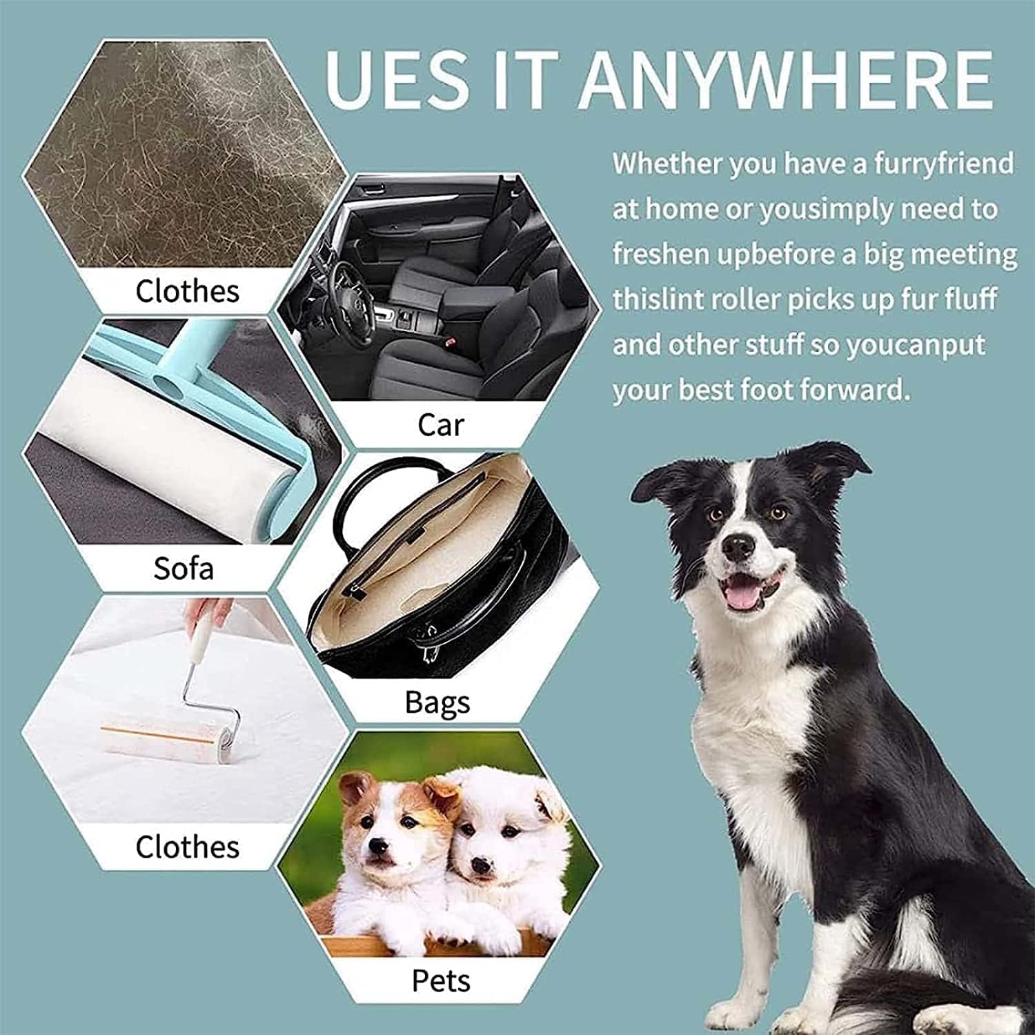 pets : Herbruikbare Lint Roller - Haren Kleding Meubels Verwijderen - Kunststof in van Pantino