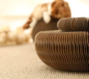 pets : Bescherm Meubels Kattenspeelgoed - Karton in van Pantino
