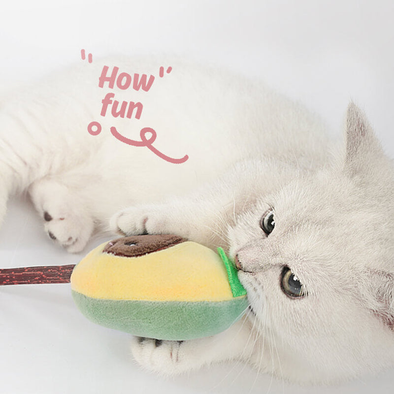 pets : Kattenspeelgoed Set Fruitvormen - Interactief Speelgoed - 6-Delig in van Pantino