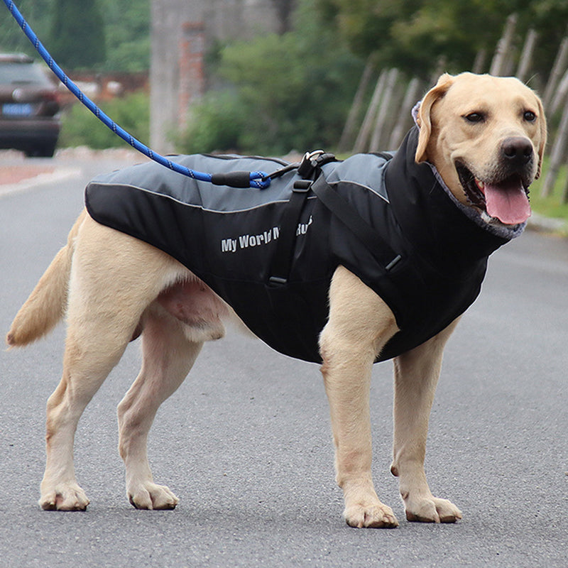 pets : Reflecterende Hondenjas met Ingebouwd Harnas voor Buitenavonturen - Grijs in van Pantino