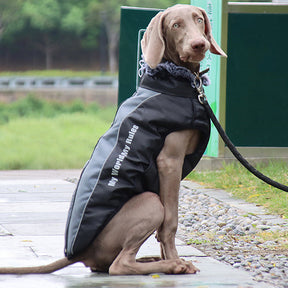 pets : Reflecterende Hondenjas met Ingebouwd Harnas voor Buitenavonturen - Grijs in van Pantino