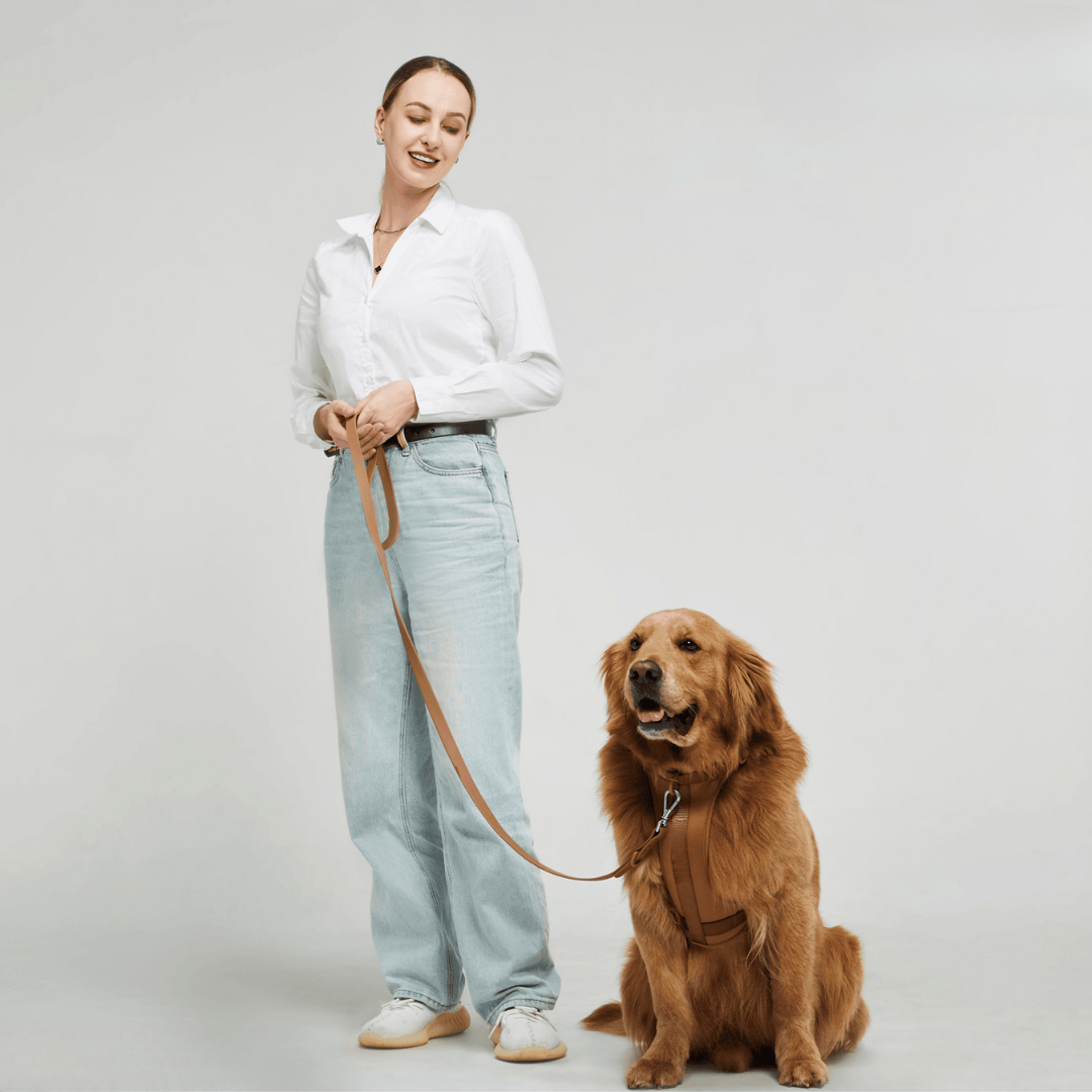 pets : ComfyPaws - Harnas Wandel Set (Inclusief Riem en Poepzakjes Drager) - Bruin in Bruin van Pantino