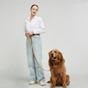 pets : ComfyPaws - Harnas Wandel Set (Inclusief Riem en Poepzakjes Drager) - Bruin in Bruin van Pantino