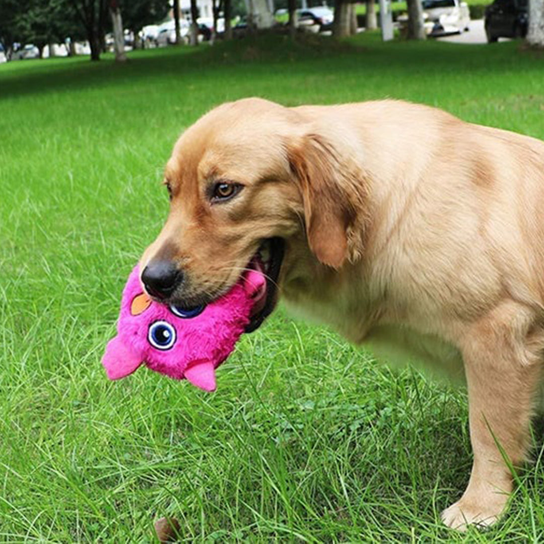 pets : Monster Active Ball voor Honden - Blauw in van Pantino