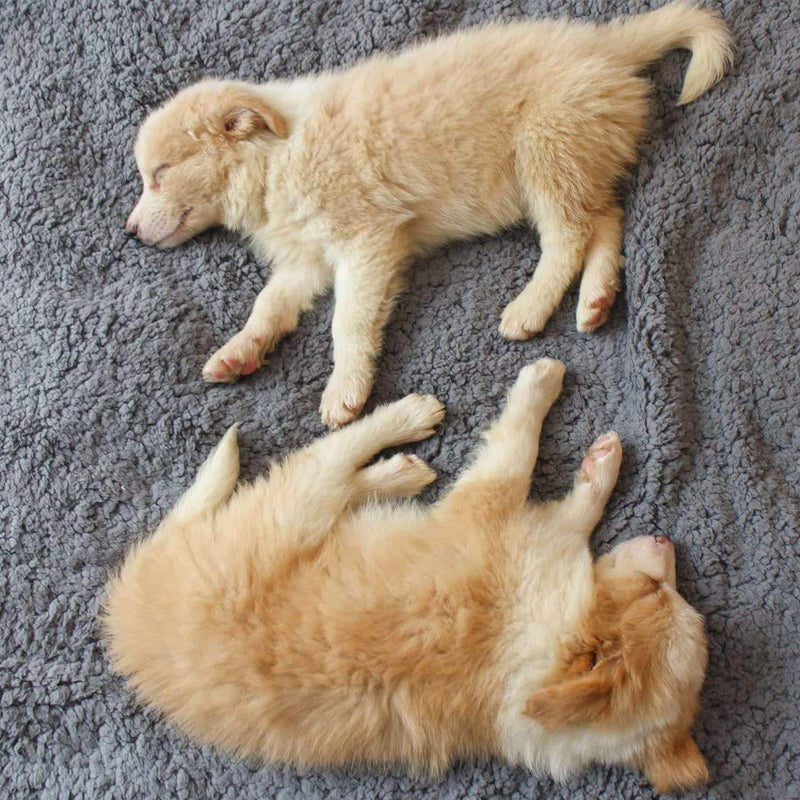 pets : Cozy Fleece Blanket Honden Katten - Grijs in van Pantino