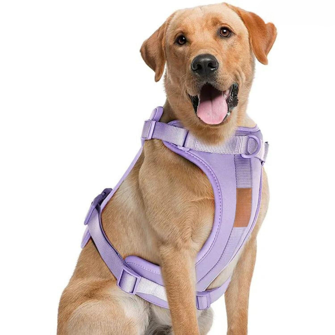 pets : ComfyPaws - Harnas Wandel Set (Inclusief Riem en Poepzakjes Drager) - Bruin in Violet van Pantino