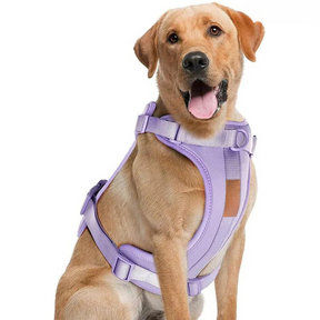 pets : ComfyPaws - Harnas Wandel Set (Inclusief Riem en Poepzakjes Drager) - Bruin in Violet van Pantino